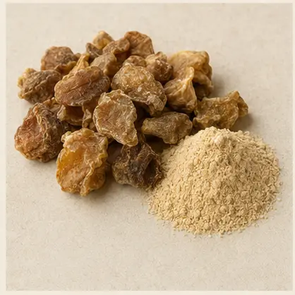 Amla Fruit & Powder