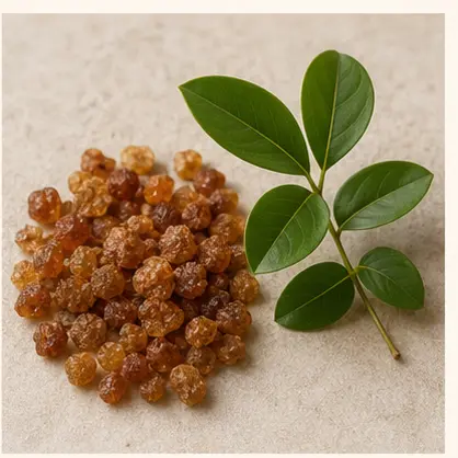 Dikamali Gum & Powder