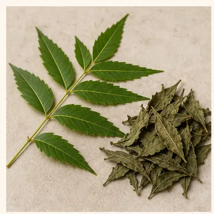 Neem Leaf & Powder