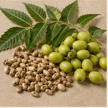 Neem Oil