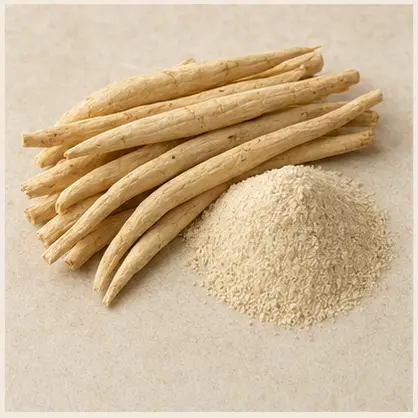 Safed Musli Root & Powder
