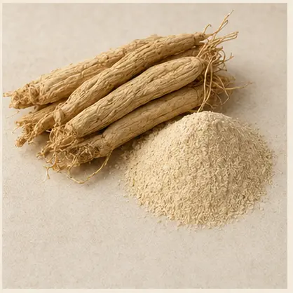 Shatavari Root & Powder
