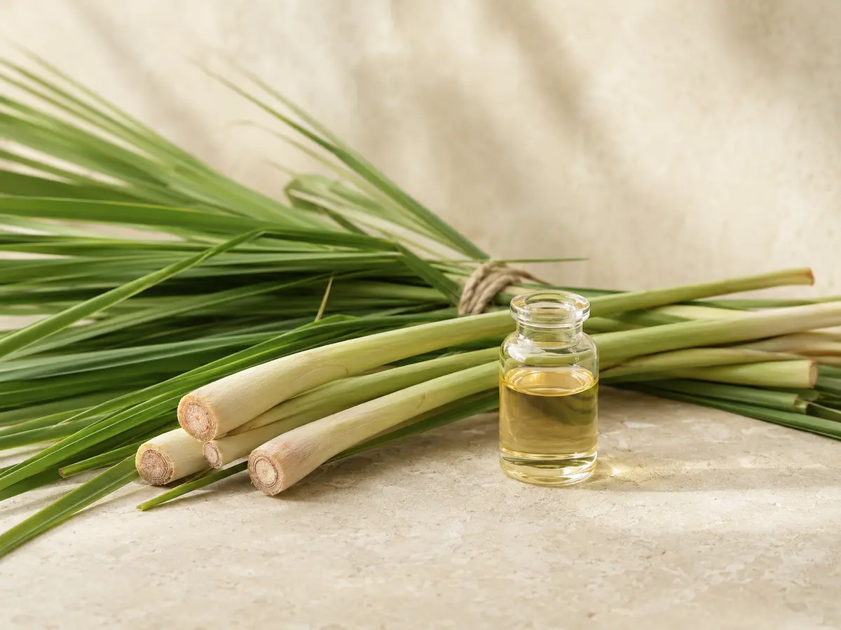 Lemongrass